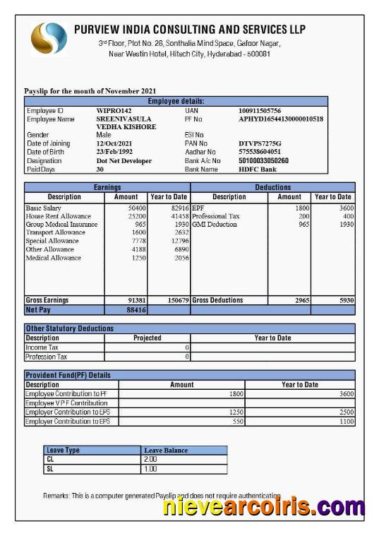 Purview India Consulting and Services payslip